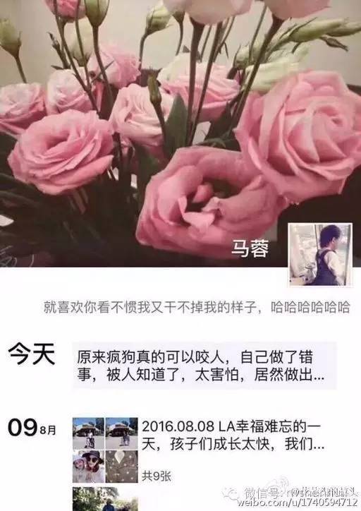 王宝强带律师去捉奸?女方骂是王宝强疯狗乱咬人!真相究竟如何? 王宝强带律师去捉奸?女方骂是王宝强疯狗乱咬人!真相究竟如何?-图片3