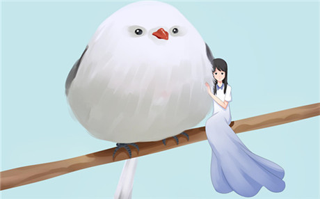 如何挽救我的婚姻 4步教你度过婚姻危机！