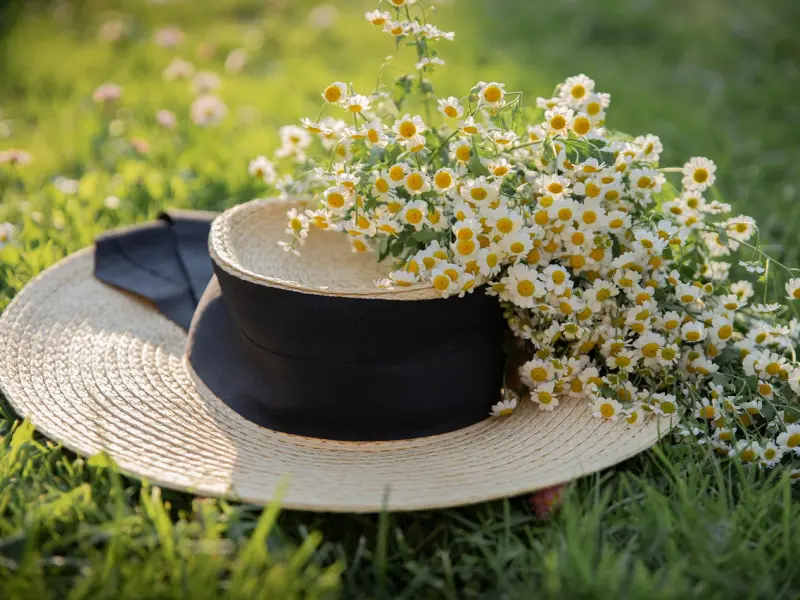 和女人聊天怎么聊出感情_黄毛 6 大撩妹绝招，不花钱不讨好，女生照样追着你