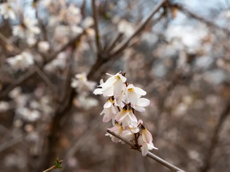 怎样追女孩子的技巧和方法_搞定女性最快的方法，教男人怎么能三天追到喜欢的女人！