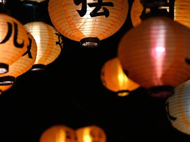 单身久了会害怕谈恋爱_如果一直单身怎么办？这是我听过的最好的回答